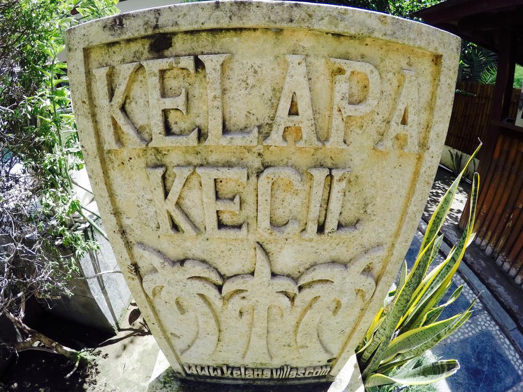 Kelapa Kecil Hotel Quần đảo Gili Ngoại thất bức ảnh
